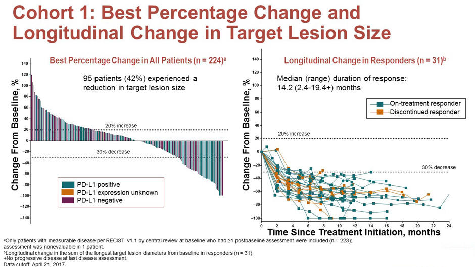 Endometrial cancer immunotherapy