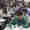 ESMO-Examination-2024-1000x1000