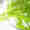 16-Lighting-the-Path-Ahead-The-Future-of-Precision-Medicine-in-Gastric-and-Gastro-ASTELLAS-thumb