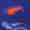 20-Pathways-to-Enhance-Patients-Benefits-in-Metastatic-Pancreatic-Cancer-SERVIER-thumb