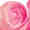 ESMO-Breast-Cancer-2025-1000x1000