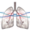 Current-Insights-and-Perspectives-in-NSCLC-Treatment-square