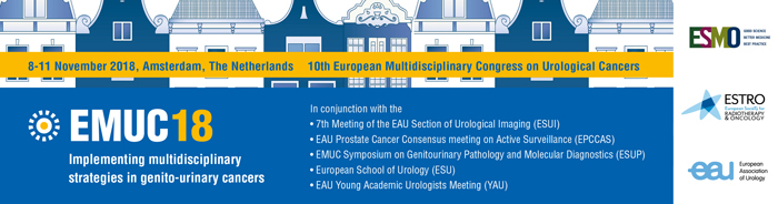 EMUC 2018 banner