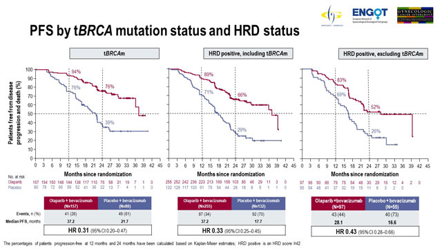 hrd positive ovarian cancer