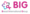 Breast International Group (BIG) Logo