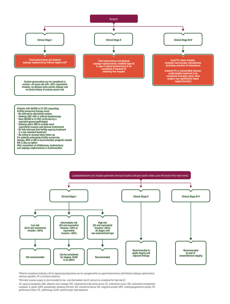 endometrium rák esmo)